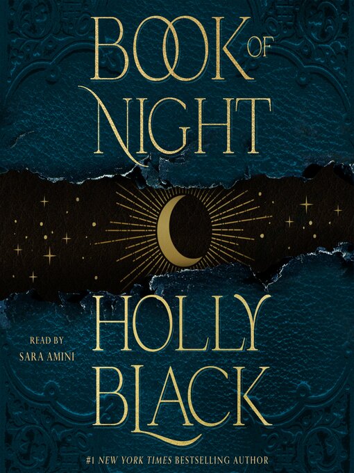 Title details for Book of Night by Holly Black - Wait list
